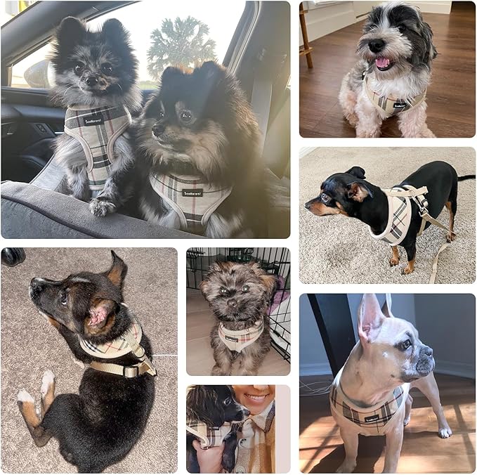 SCENEREAL Puppy Dog Harness with Leash Set for Small Medium Sized Dogs, Soft Mesh Pet Harnesses and Leash, No Chock Plaid No Pull Vest for Dogs Cats, Chihuahua,Bulldog (Beige S)