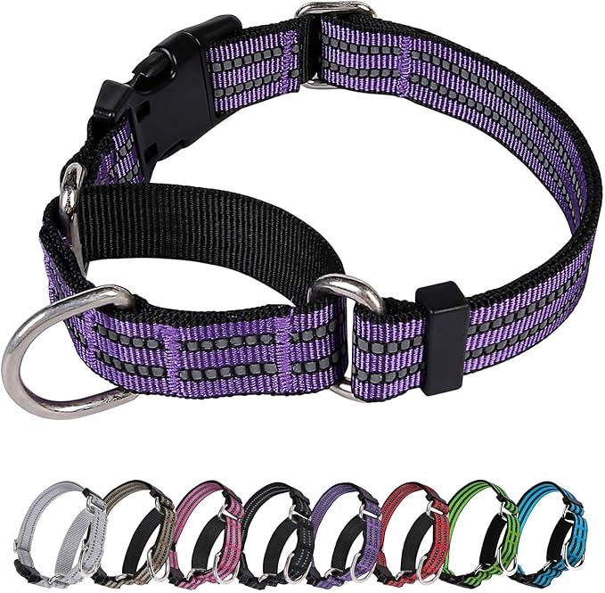 Martingale Dog Collar, Adjustable Nylon Reflective Collar with Buckle No Pull Dog Collar for Small Medium Large Dogs (Purple M)
