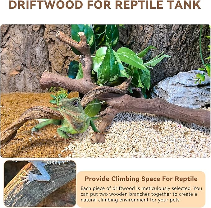 BNOSDM 2PCS Reptile Wood Branches, Snake Climbing Branch, Bearded Dragon Climbing Accessories, Lizard Habitat Decor, Terrarium Tree Trunk Ornament for Gecko Frog Chameleon Spider