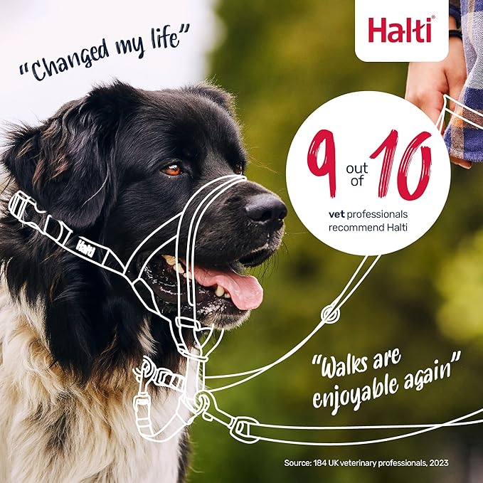 Halti Headcollar - Stop Your Dog Pulling on The Leash. Adjustable, Reflective and Lightweight, with Padded Nose Band. Dog Training Anti-Pull Collar for Small Dogs (Size 1, Cobalt Blue)