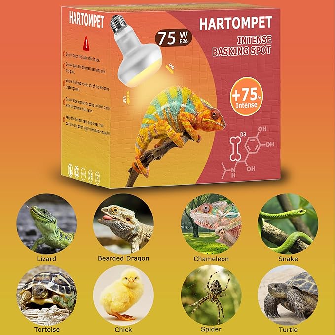 75W Intense Basking Spot Lamp – UVA Daylight Heat Bulb for Reptiles, Simulates Natural Sunrise and Sunset, Enhances Natural Behavior, Suitable for Bearded Dragons, Turtles, Geckos | 2 Pack