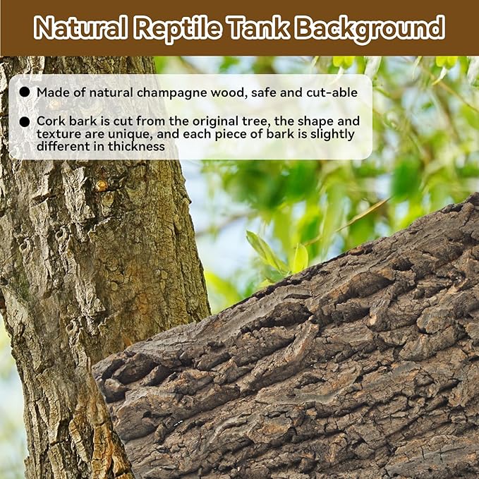 2PCS Natural Cork Terrarium Background,11.81 x 11.81 Inch Reptile Bark Background 3D Bearded Dragon Tank Climbing Mat Habitat Decoration for Lizard Gecko Chameleon Tortoise Snake Spider Frog