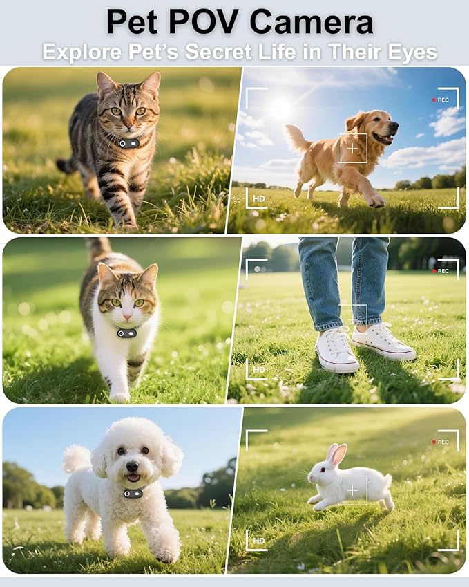 Cat & Dog Camera Collar with Phone APP, 1080P HD Video Recording Pet Camera Collar – Lightweight Pet POV Cam for Curious Cats & Adventurous Pups