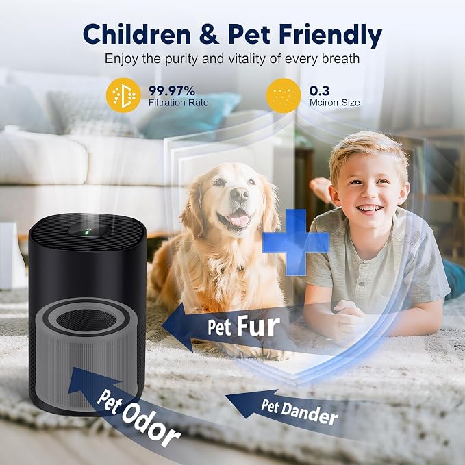 240 Replacement Filter Compatible