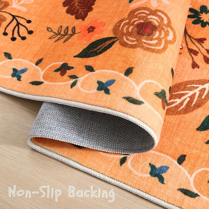 Rugcomf Door Mat Indoor Entrance 2x3 Rug Machine Washable Boho Floral Small