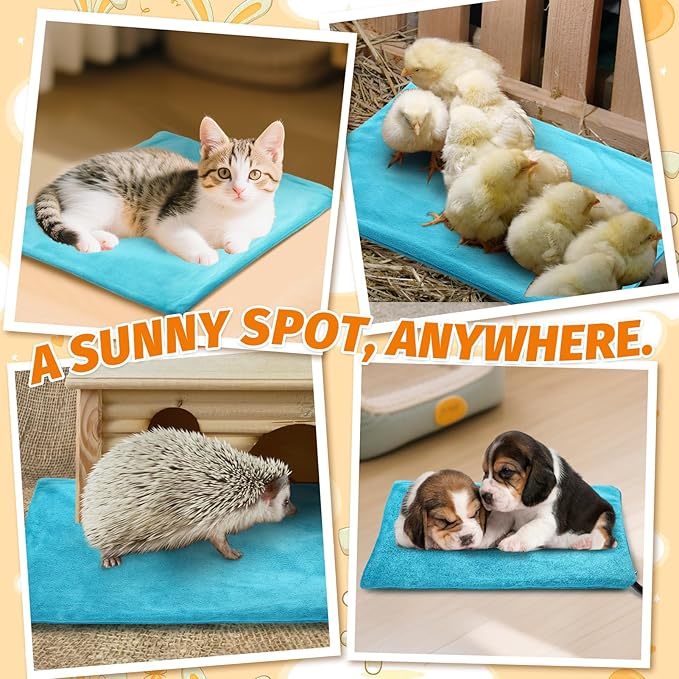 ANPHSIN Pet Heating Pad for Small Animal - Fire Retardant Heated Pad with Overload Protection Anti Chew Cord for Puppy Kittens Chicks Rabbits Ferrets Hedgehogs Outdoor Indoor 9''x12''