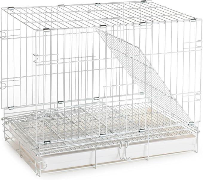 Travel and Vet Bird Parrot Beaks Proof Metal Cage Carrier Easy Foldable Clean with Stainless Bowls and Wooden Stand Perch