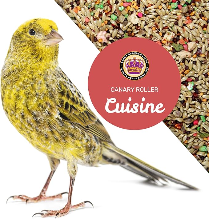 Canary Cuisine 4 Lbs, Premium Mixed Fruit and Birdseed with Essential Vitamins and Minerals, Canary Bird Food, Supports Daily Energy Growth & Healthy Balanced Diet, Bird Seed for Pet Birds