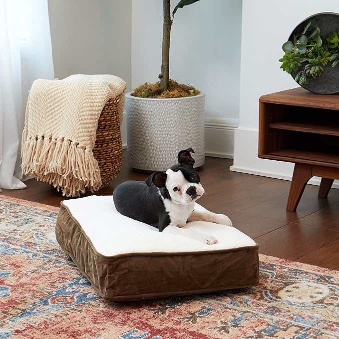 South Pine Porch Buddy Reversible Rectangle Pillow Style Microfiber and Sherpa Dog Bed with Removable, Machine-Washable Cover, Latte Sherpa, Extra Small (24 in. x 18 in.)