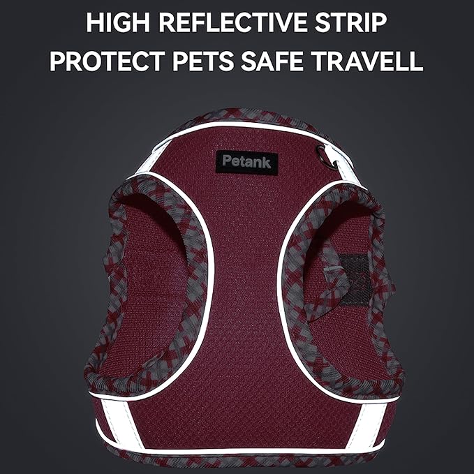 Petank Dog Harness for Small Medium Dogs No Pull, Puppy Harness and Leash Set for Walking, Running, Training, Small Dog Harness, Medium Dog Harness (Yellow, XS)