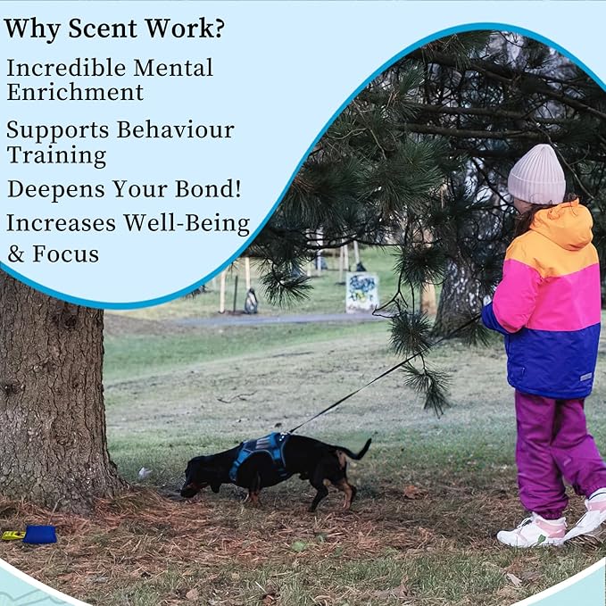 Dog Scent Training kit, Brain Games, Hide and Seek Toys, Metal Stimulation Games - Fun Nose Work for Dogs, Sniff and Seek Sniffing Toys, Dog Nosework, Scent Work Kit for All Ages
