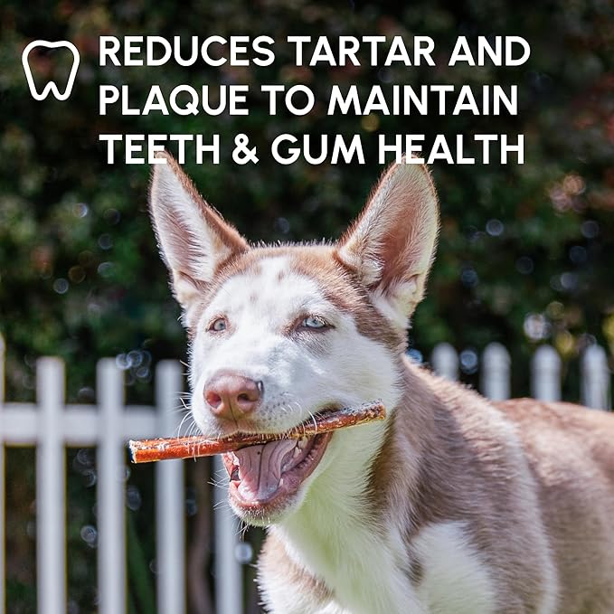Downtown Pet Supply USA Sourced Bully Sticks for Dogs - Grass-fed Beef Chews, Low-Odor & Rawhide-Free, Long Lasting Dog Treats - Healthy, Safe & Delicious Chews (6" 15 Pack)