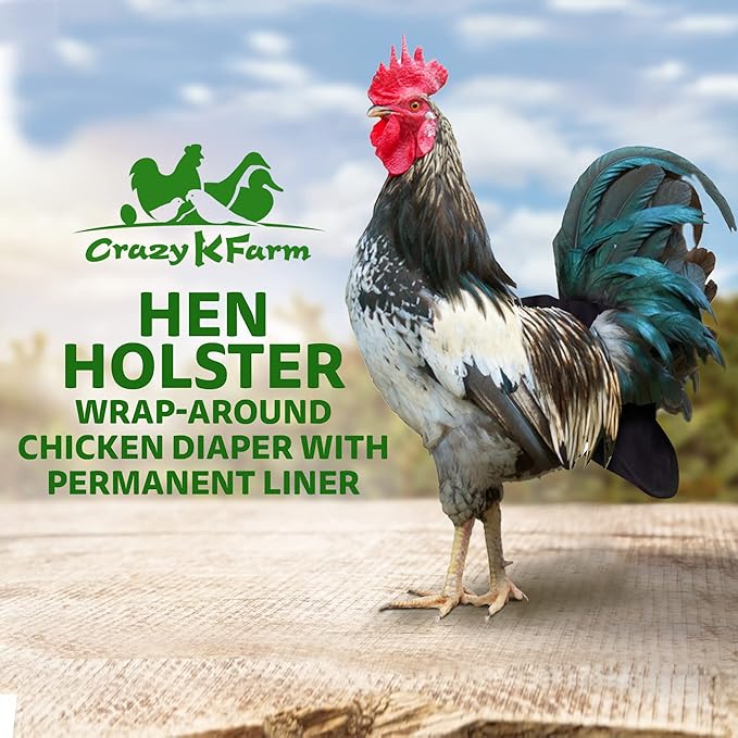 Hen Holster Bird Diaper, Wrap Around - for Hens, Roosters, Ducks, Leak-Proof Design, Comfortable Fleece Strap Bird Harness with Sewn-in Liner, Secure Hook and Loop Closure - Large, Black