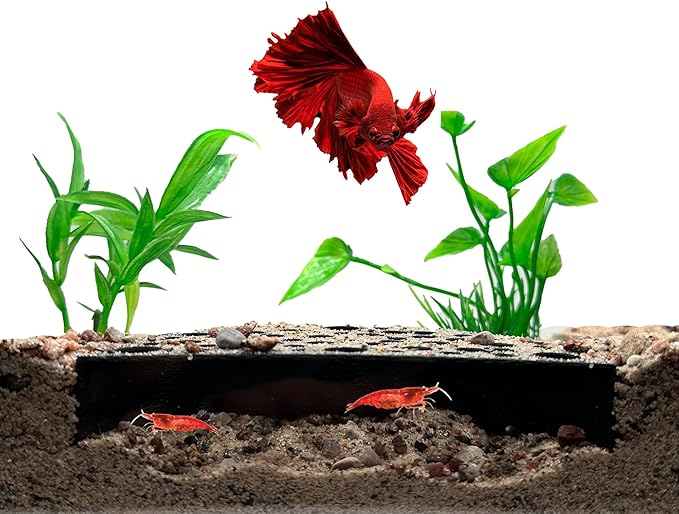Shrimp Breeding Protector | Shrimp Breeding Cave Aquarium Tunnel | CTWPets (Black)