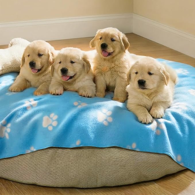 LINENLUX Cute Dog Blanket for Small Medium Dogs 6-Pack Soft Stretchy Fleece Blankets for Pet Cat Puppy Warm Wrinkle-Resistant Throw for Couch Bed Outdoor Light Blue 31x24 inch (Pack of 6)