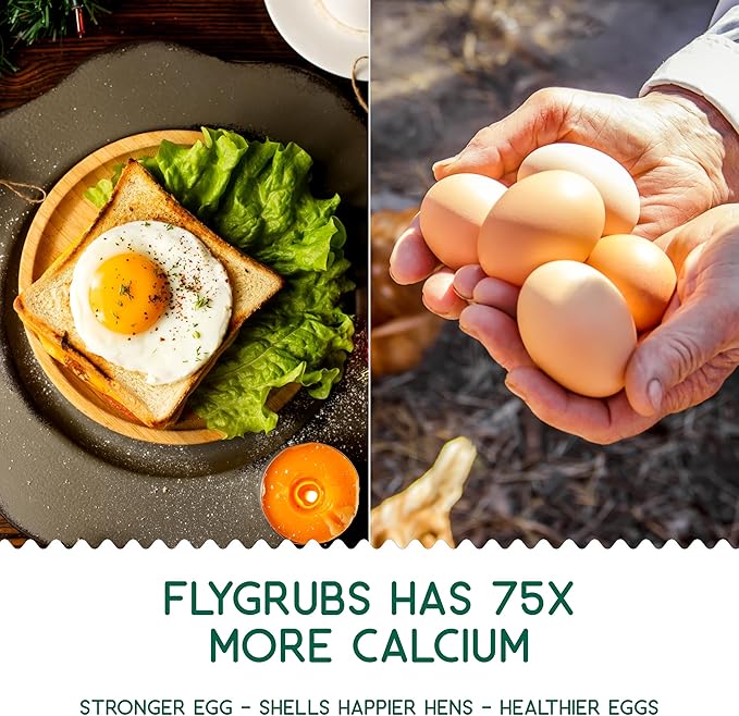 Better Than Dried Black Soldier Fly Larvae for Chickens - 10 lbs Non-GMO - 75X More Calcium Than Meal Worms - Poultry Feed Molting Supplement - Farm Raised High Protein - Resealable Bag
