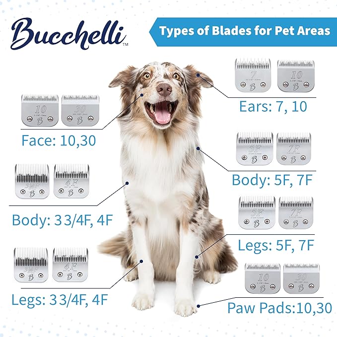 Detachable A Series 5f Blade Dog Grooming Cuts Length 1/4" - 6.4mm Japanese High Carbon Steel 6.4 mm Clipper Blade 5f | Detachable Blade Clippers (Compatible A5 Series(B5F)