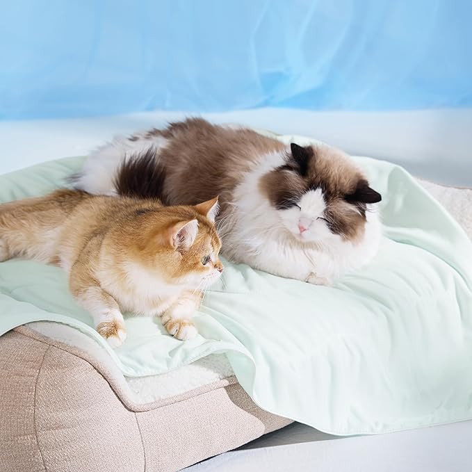 Bedsure Cooling Blanket for Small Dogs with Breathable Air-Core Fill Q-MAX>0.4 - Dog Cooling Mat Soft, Lightweight Pet Cat Throw Cold Blanket Washable for Summer, Pale Jade, 25x35