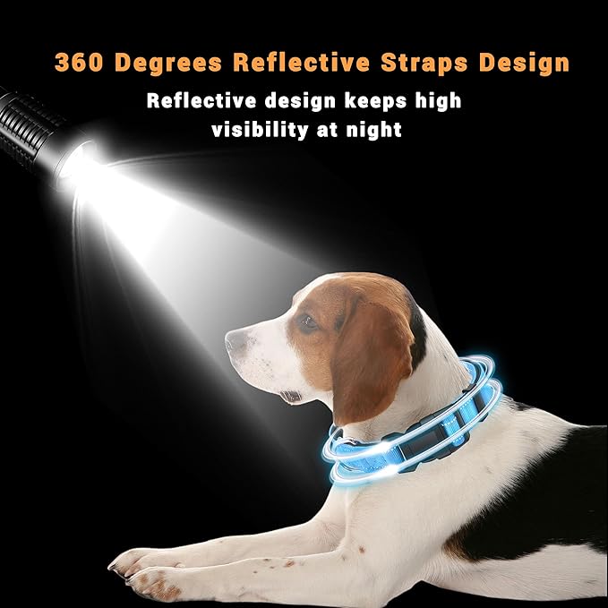 2 Pack Reflective Dog Collar with Safety Locking Buckle, Adjustable Soft Breathable Comfortable Nylon Pet Collar for Small, Medium and Large Dogs, SkyBlue, XL