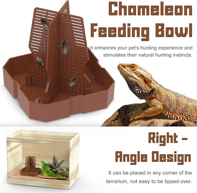 Chameleon Feeding Bowl for Reptile Terrarium, Climbable Design for Reptile to Hunt, Suitable for Feeding Lizards, Bearded Dragons, Geckos, Guardians, Frogs, Reddish Brown, Large