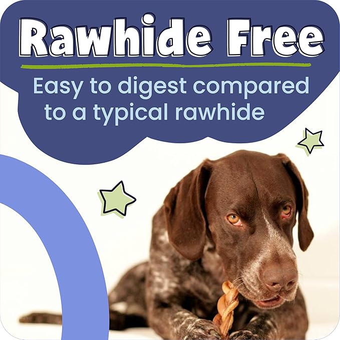 Pawstruck Natural 9” Braided Bully Sticks for Dogs - Tough, Long-Lasting, Rawhide-Free, Low Odor, Healthy Single Ingredient Chew Treat for Aggressive Chewers - 25 Count - Packaging May Vary
