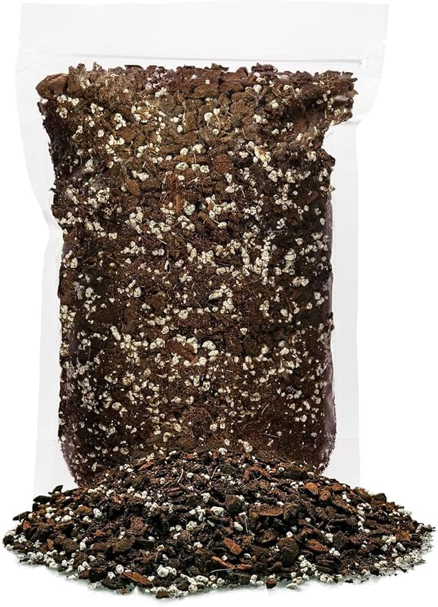 Premium Monstera Dubia Plant Potting Mix - Enhanced Aeration and Nutrient Retention - 1 Quart
