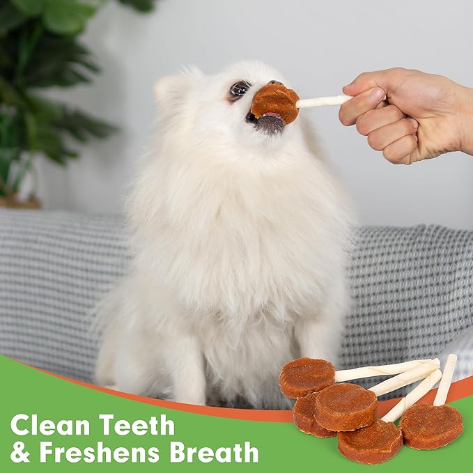MON2SUN Lollipop Dog Treats, 4.5 Inch Chicken and Egg with Rawhide Twist Sticks, Healthy and Teeth Cleaning Snacks for Small Dogs, 10.58oz (15 Count-Pack of 1)