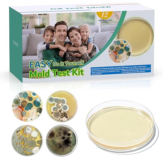 Mold Test Kit for Home
