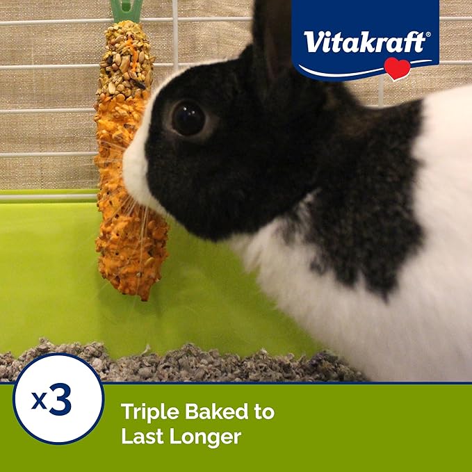 Vitakraft Crunch Sticks Rabbit Treat - Triple-Baked Rabbit Chews with Natural Wood Center - Crunchy & Nutritious Treats for Small Animals (Carrot and Honey, Pack of 6)