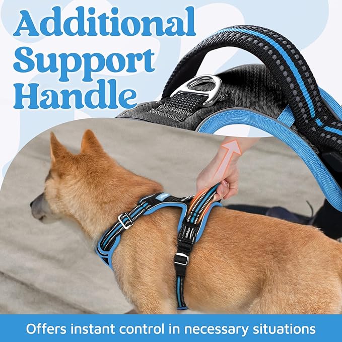rabbitgoo Dog Harness Medium Sized, No Pull Dog Vest with 3 Buckles, Adjustable Soft Padded Pet Harness with Easy Control Handle and Reflective Strips, Black & Sky Blue, M