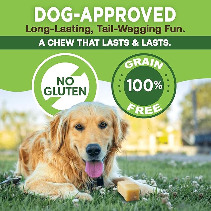 EcoKind Premium Gold Monster Yak Cheese Himalayan Dog Chew, Dog Treats Large Breed, All Natural, High Protein, for Aggressive Chewers, XL - 9+ Chews (3 Lbs)