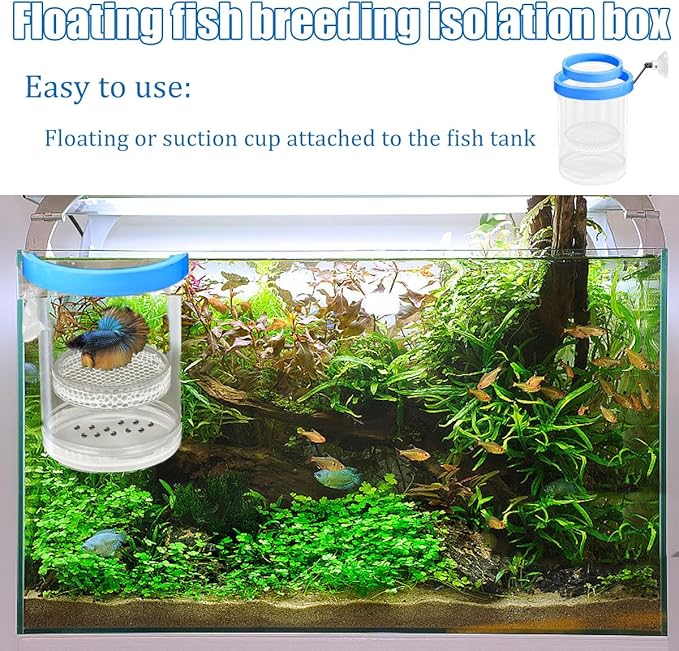 Upgrade Breeder Box for Fish Tank Plastic Floating Mesh Isolation Hatchery Incubator Aquarium Breeding Chamber Blue Small