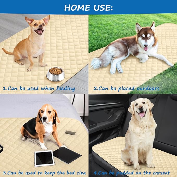 Coldwind Couch Cover for Dogs Washable, Waterproof Dog Bed Pet Blanket for Sofa Furniture, Waterproof Sheet Dog Blanket (30 x 70 Inch)