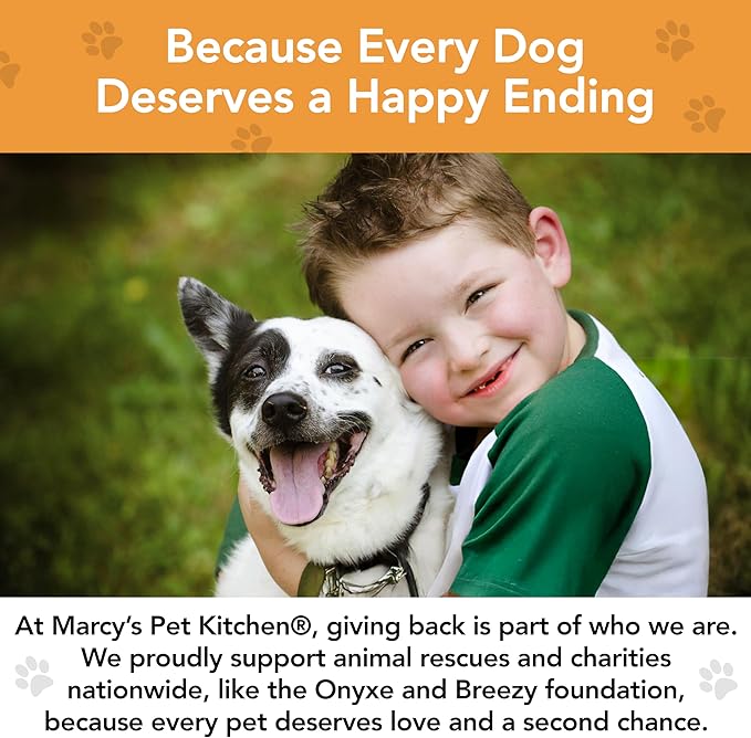 Marcy's Pet Kitchen- Diabetic All Natural, Crunchy, Pumpkin Biscuit Dog Treats - No Preservatives-Crunchy Approved- Vegan, Gluten Free, Human Grade, Made in The USA, Healthy Pumpkin Dog Treats