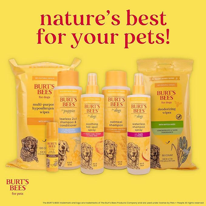 Burt's Bees for Pets Dog Paw and Nose Lotion with Rosemary and Olive Oil, Moisturizing Paw Balm for Dry Cracked Pads and Dog Nose Butter Moisturizer, Paw Lotion for Dogs Skin Care, 4 Fl Oz - 24 Pack