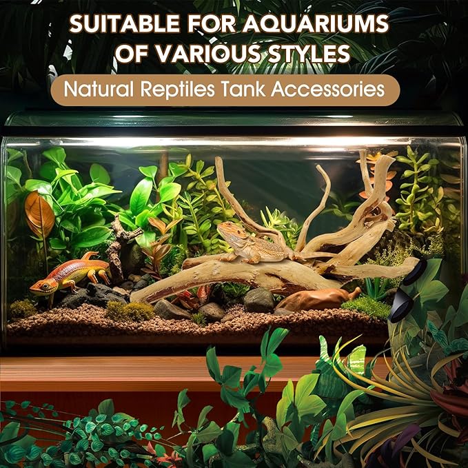 Jorewood Natural Large Spiderwood Driftwood for Aquarium Decor Rptile Fish Tank Decoration Assort Branch 7-11'' 3 Pcs