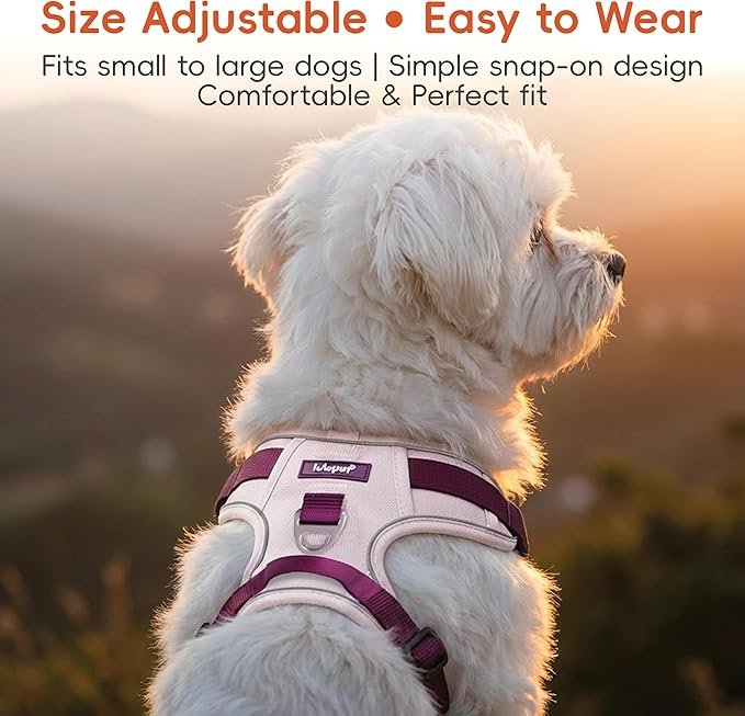 3 in 1 No Pull Dog Harness Leash and Collar Set, Soft Adjustable Dogs Vest Reflective and Comfortable Handle Pink X-Large