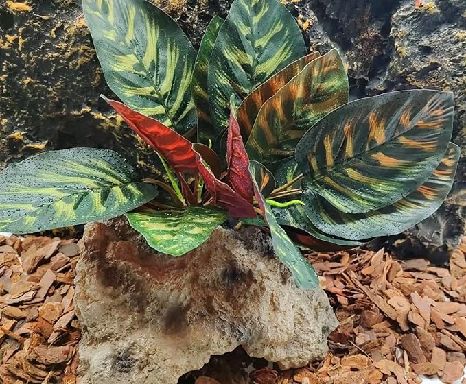 Reptile Terrarium Decor Plants,Amphibian Habitat Decor,Artificial Plants for Tank Accessories (Calathea makoyana -B)