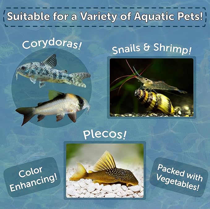 Aquatic Foods Inc. 3.5mm - 1/8" Micro Sinking Wafers of Spirulina, Algae & Color Enhancing Wafers for Bottom Fish, Shrimp, Snails, Tropicals. 4-Type Wafer & 12-Type Pellets Included 6oz Canister