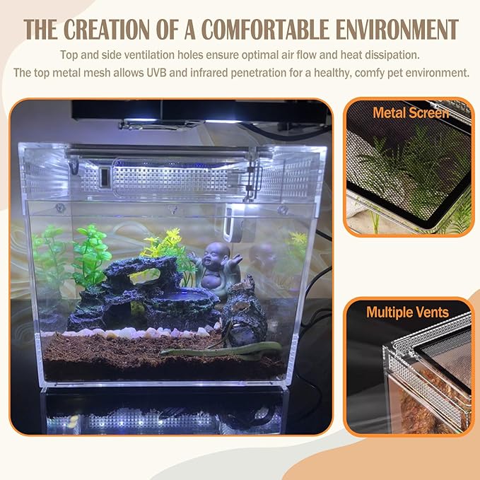 Reptile Terrarium, Jumping Spider Enclosure Starter Kit, Leopard Gecko Habitat Container, 8"x8"x7"Reptile Tank for Tarantula, Hermit Crab, Insect, Fish, Frog, Small Bearded Dragon, Lizard