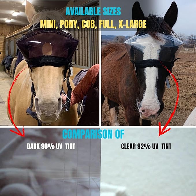 Recovery Vizor, (Size: Mini/Foal - Dark UV Tint) Medical and Preventative Horse Eye (Goggle) Protection Mask for Uveitis/Injury/Scratch or Corneal Ulcer, Infection, Blindness.