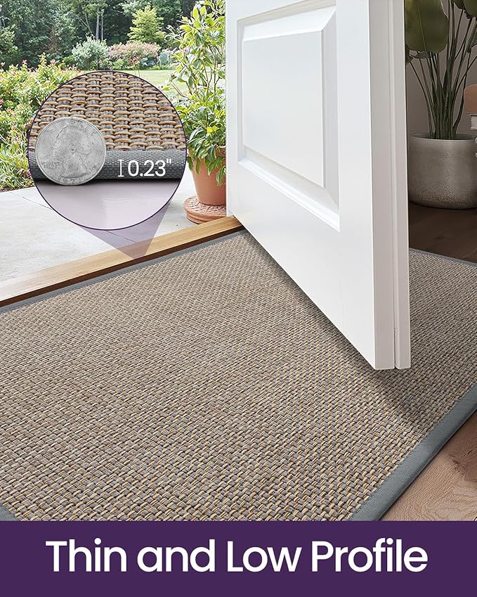 DEXI Ultra Thin Entryway Indoor Door Mat 24x36, Non Slip Rubber Backing Inside