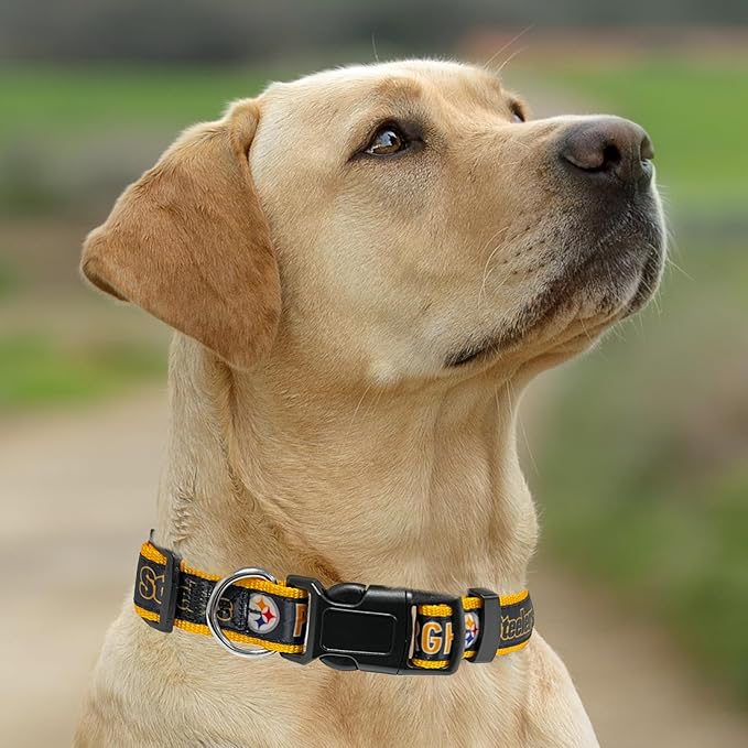 Pets First NFL Pittsburgh Steelers Licensed PET COLLAR, Small - Heavy-Duty, Strong, and Durable Dog Collar. Available in 31 Football Teams and 4 Sizes