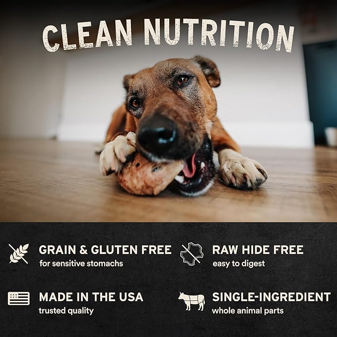 Vital Essentials Freeze-Dried Raw Salmon Skin Dog Treat & Natural Chew, 1-Pack | Single Ingredient Dog Treat for Light Chewers | Made in USA