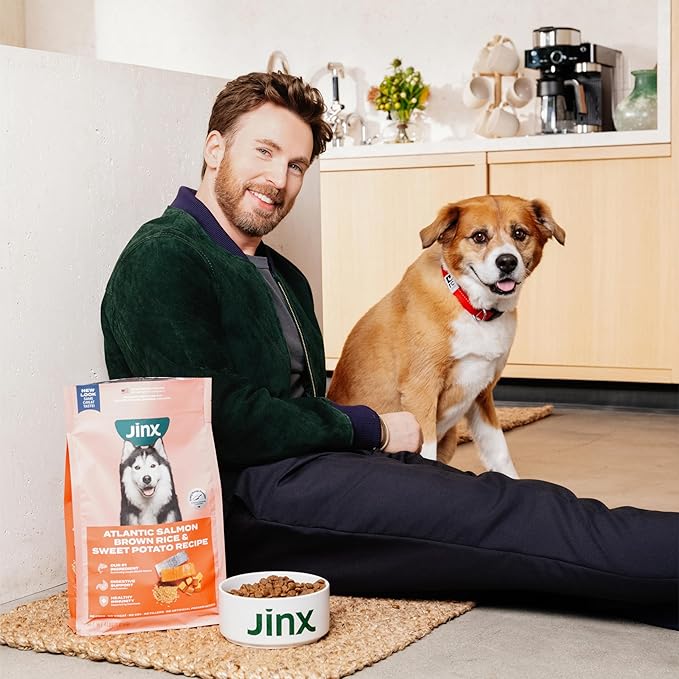 Jinx Chicken & Bacon Layers Jerky Dog Treats - Crunchy, All Natural Dog Jerky Treats with Cage-Free Chicken & Bacon - Pet Products for All Dogs (Puppies, Adults & Seniors) - 5oz