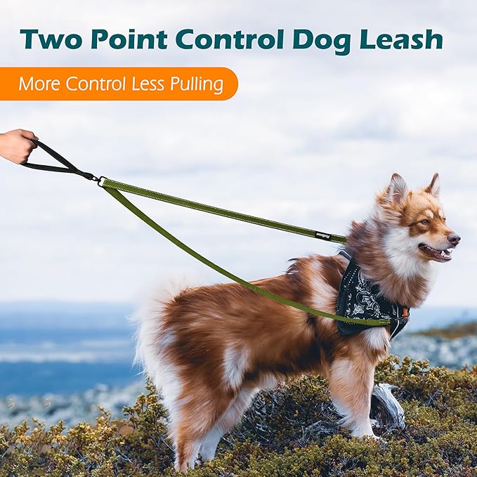 PetBonus Two Point Control Dog Leash, Works with No Pull Harnesses, No Tangle Training Leashes, Soft Padded and Reflective Walking Lead, Converts to Single Lead for Medium Large Dogs (Khaki Green)