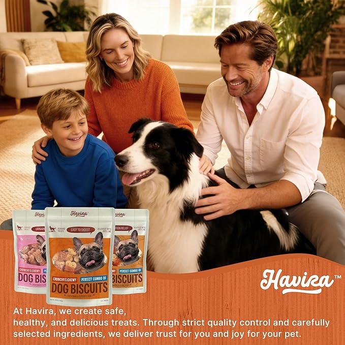Havira Chicken Wrapped Biscuits Dog Treats, 16oz Crunchy Training Treats for Dogs, Rawhide Free Snacks for Small & Medium Breeds, Pumpkin Flavor