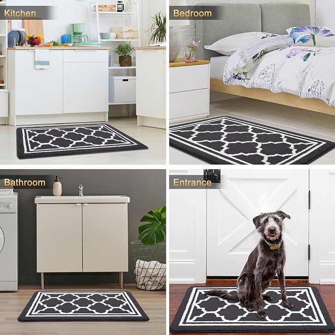 Buganda Large Indoor Door Mat, Dirt-Resistant and Absorbent Doormat, Low