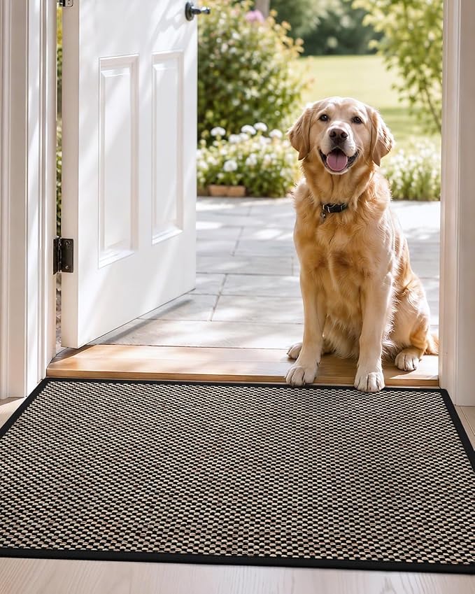 DEXI Ultra Thin Entryway Indoor Door Mat 24x36, Non Slip Rubber Backing Inside
