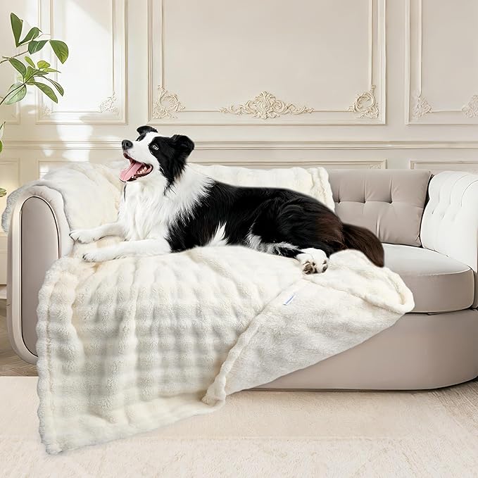 Dog Blankets Washable Pet Blanket - Fluffy Fuzzy Cat Puppy Blanket with Premium 300GSM 3D Fleece Bubble for Pet Kitten Doggy, Cream, 40x60IN